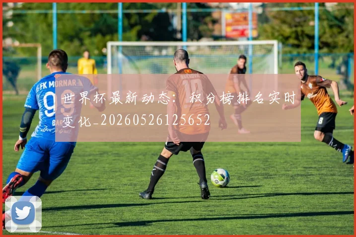 世界杯最新动态：积分榜排名实时变化_20260526125652